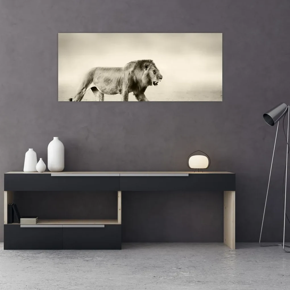 Obraz - Hladný lev (120x50 cm)