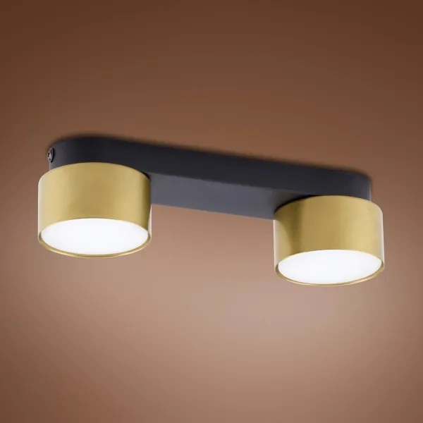 Bodové svietidlo SPACE GOLD 2xGX53/15W/230V