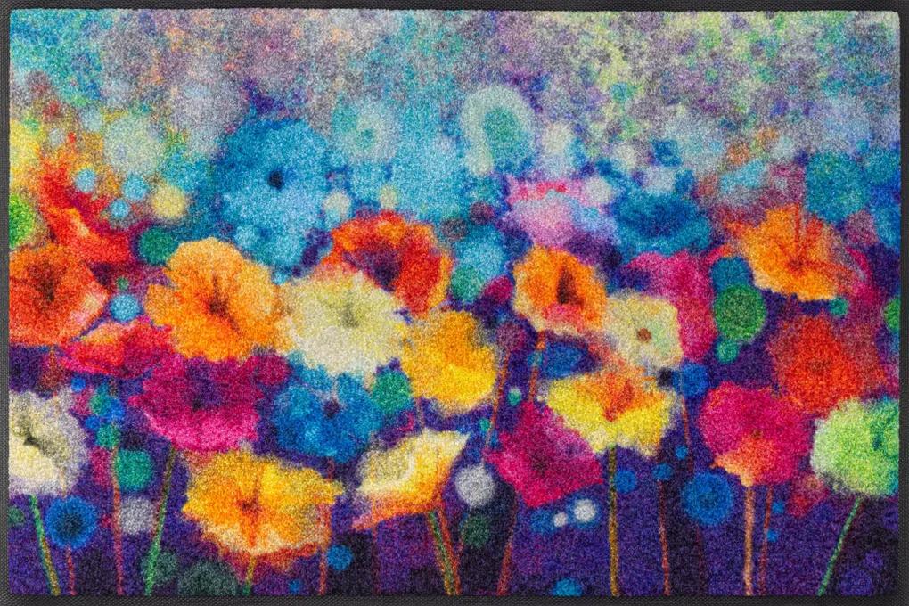 Astry- farebná kvetinová rohožka 50x75 cm