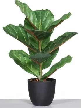 Umelá rastlina v kvetináči Figovník, 40 cm%