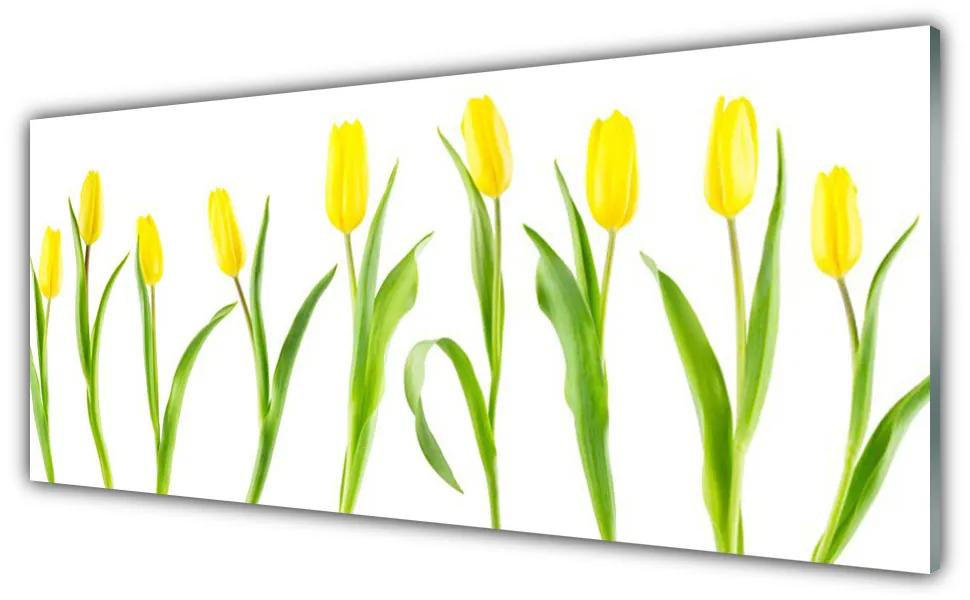 Obraz plexi Žlté tulipány kvety 125x50 cm