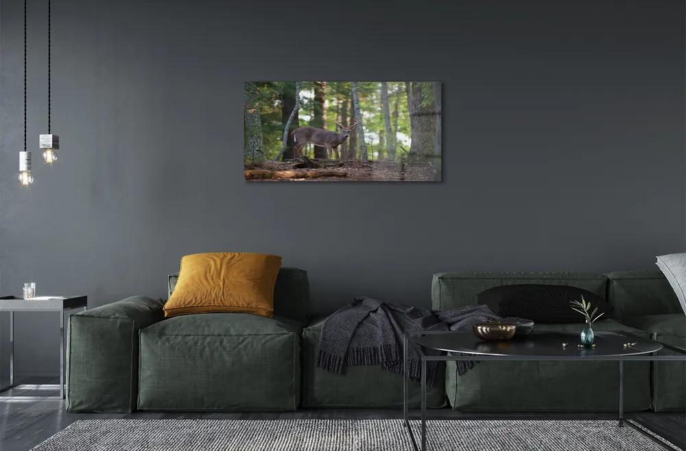 Sklenený obraz jeleň lesný 140x70 cm