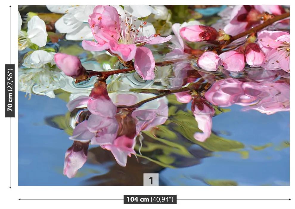 Fototapeta Vliesová Čerešňový kvet vody 312x219 cm