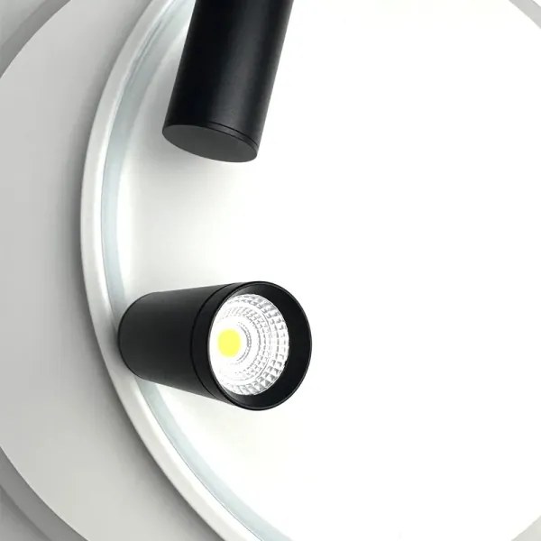 LED Stmievateľné stropné svietidlo LED/65W/230V 3000-6500K biela + diaľkové ovládanie