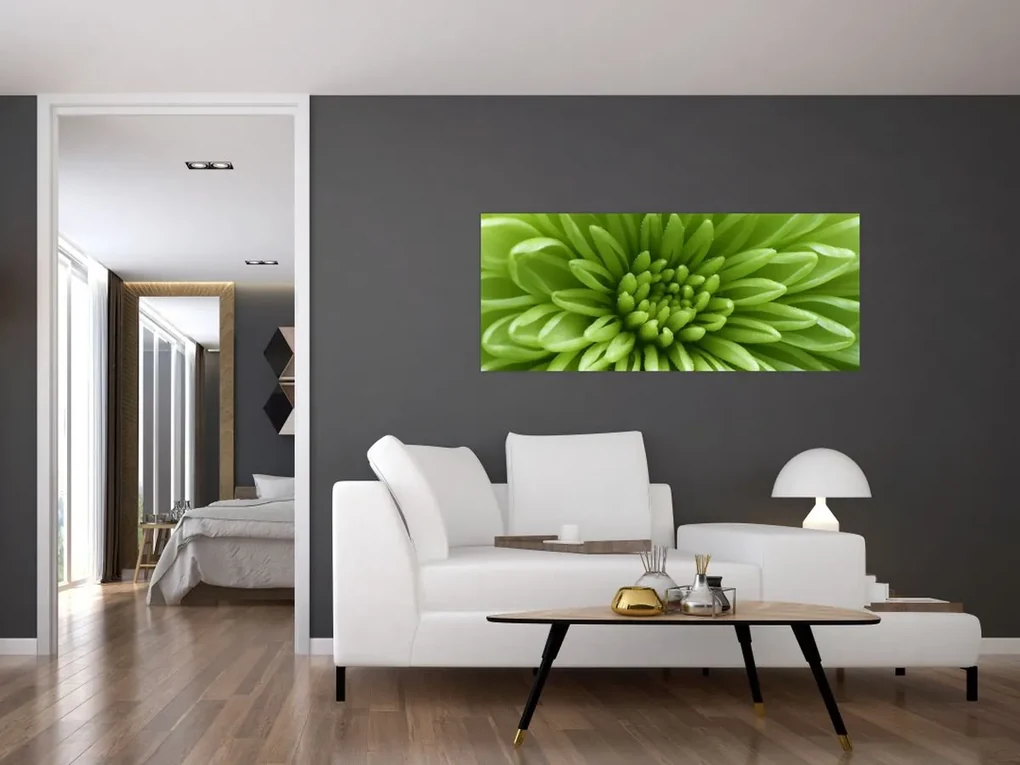 Obraz - Makro snímka rastliny (120x50 cm)