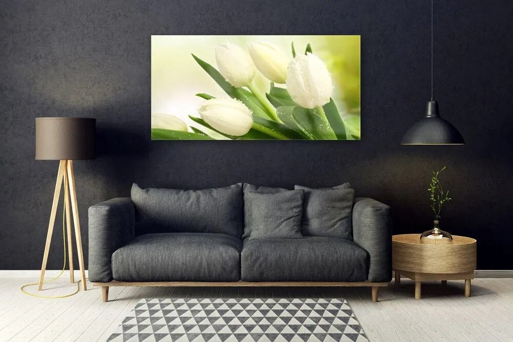 Obraz na akrylátovom skle Tulipány kvety rastlina 120x60 cm