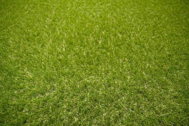 Umelá tráva Star zelená