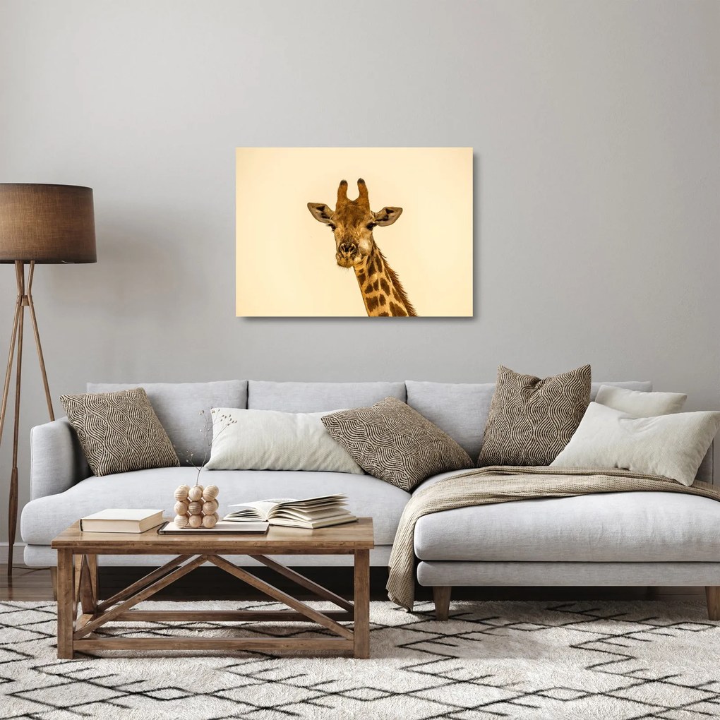 Sklenený obraz žirafy (70x50 cm)