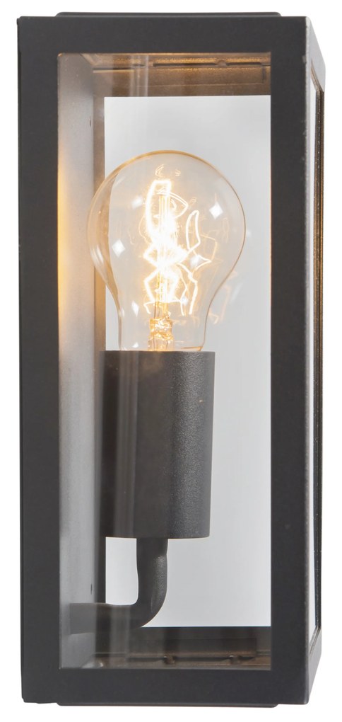 Priemyselná vonkajšia nástenná lampa čierna so sklom 25,5 cm IP44 - Rotterdam