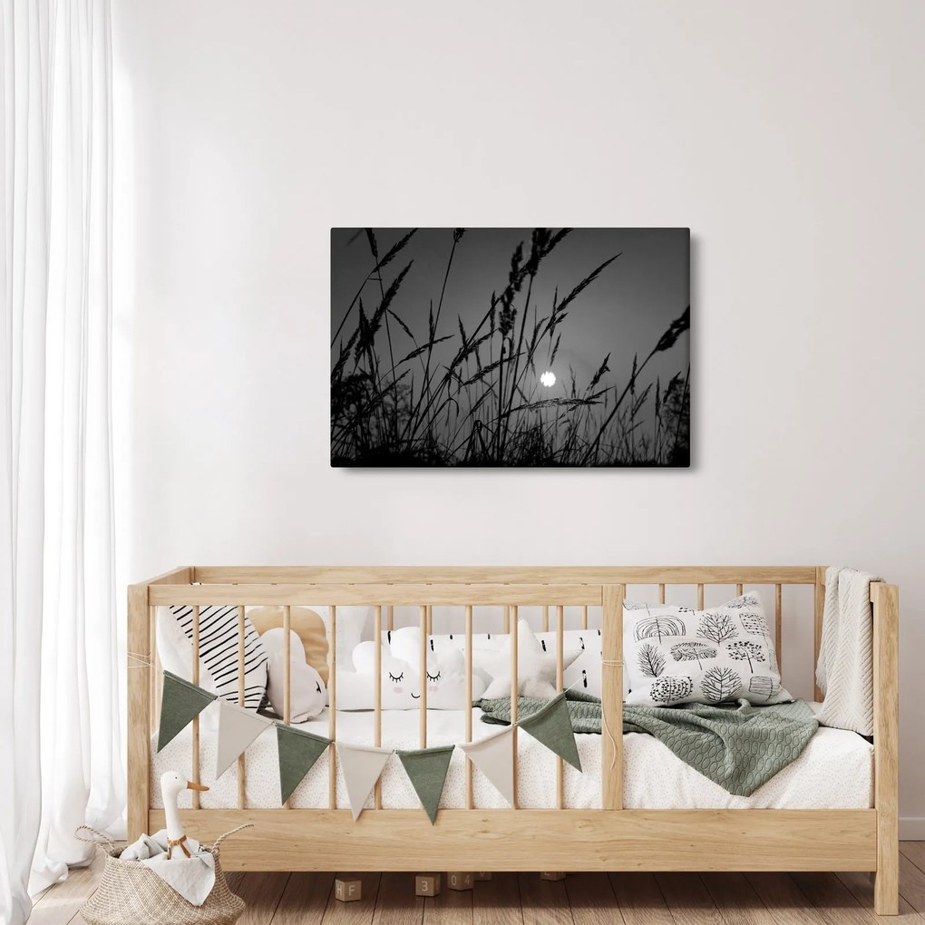 Obraz - Lúka so západom slnka (90x60 cm)