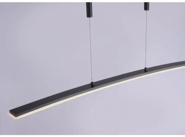 Paul Neuhaus 2530-13 - LED Stmievateľný luster na lanku JANINA LED/27W/230V