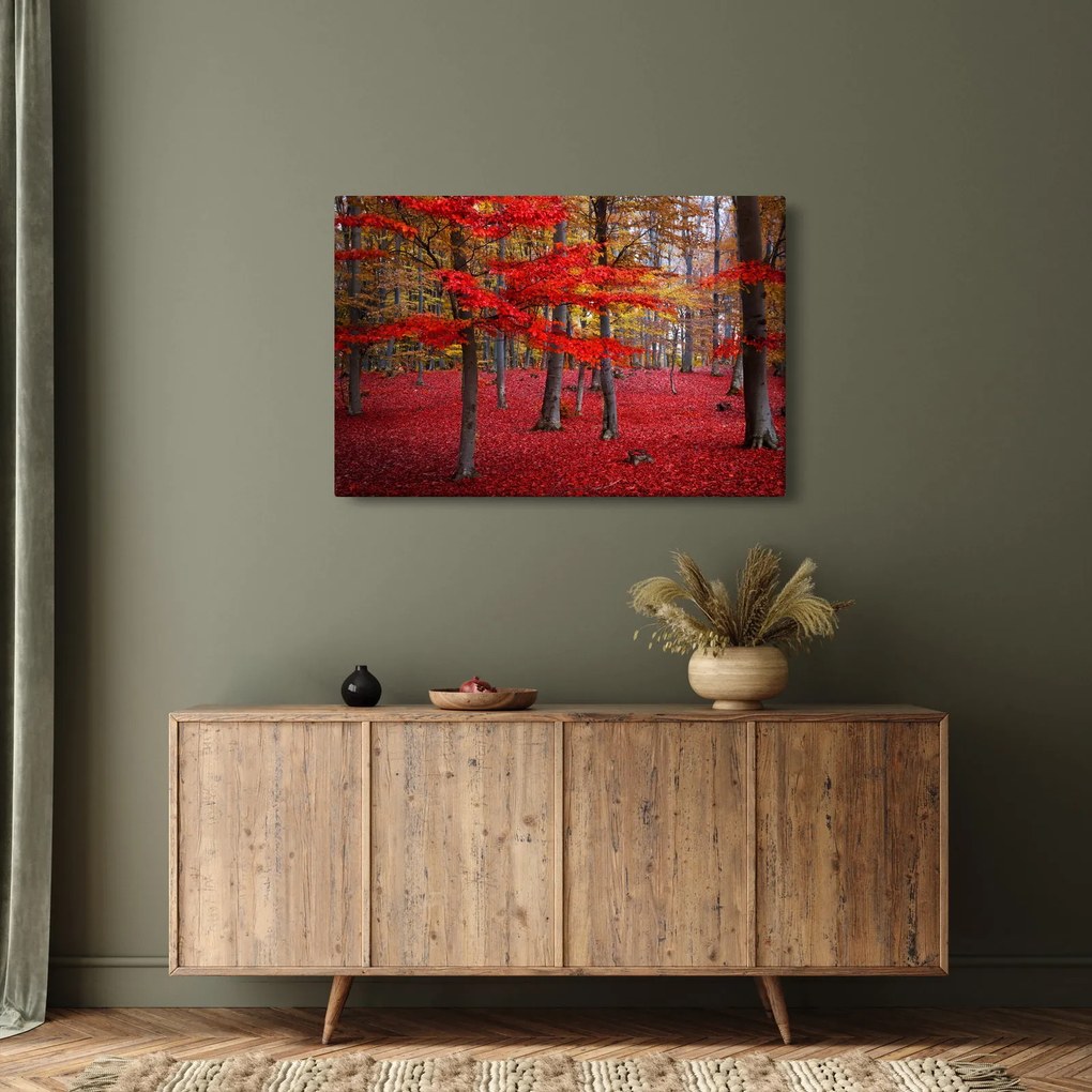 Obraz - Červený les (90x60 cm)