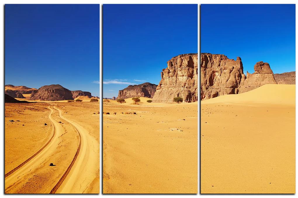 Obraz na plátne - Cesta v púšti 1129B (105x70 cm)