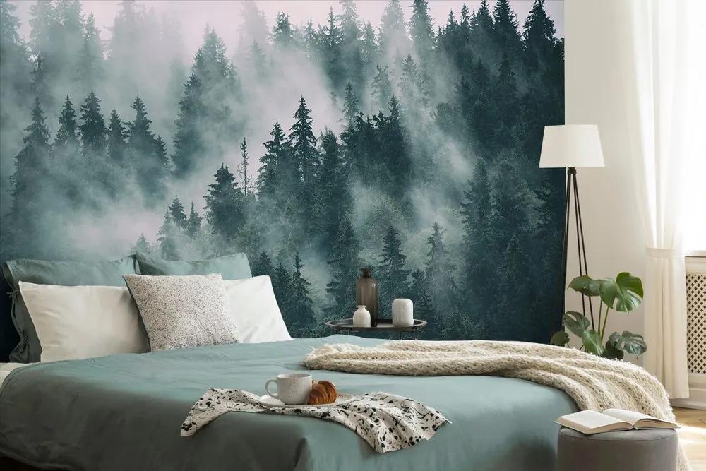 Fototapeta stromy zahalené do hmly
