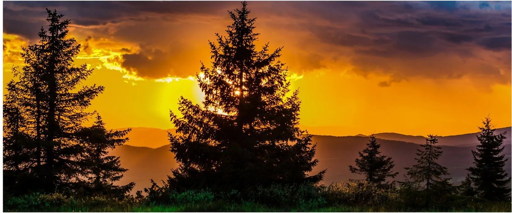 Obraz - ihličnany (120x50 cm)
