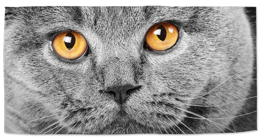 Sablio Uterák Mačací pohľad - 50x100 cm
