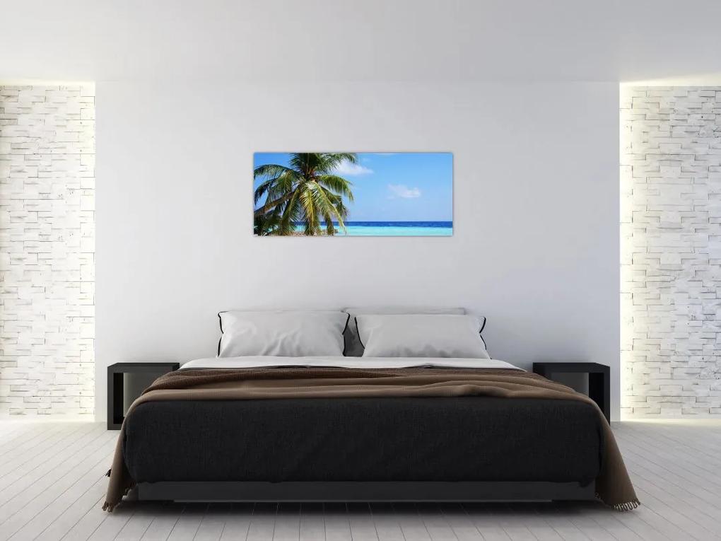 Obraz palmy na pláži (120x50 cm)
