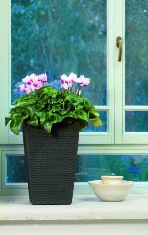 Kvetináč Rattan planter, veľkosť S