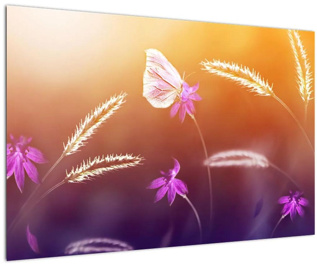 Obraz - Ružový motýľ (90x60 cm)