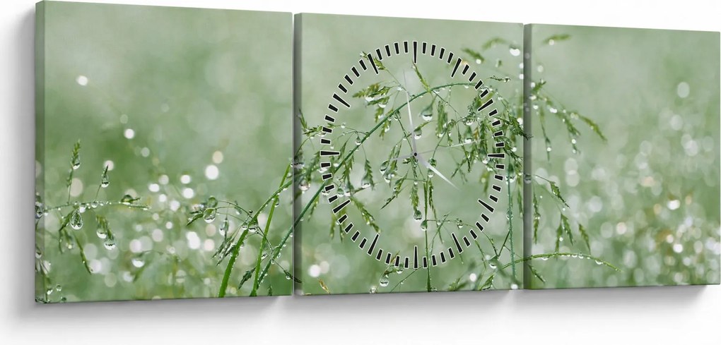 Obraz - Rosa v tráve (s hodinami) (90x30 cm)