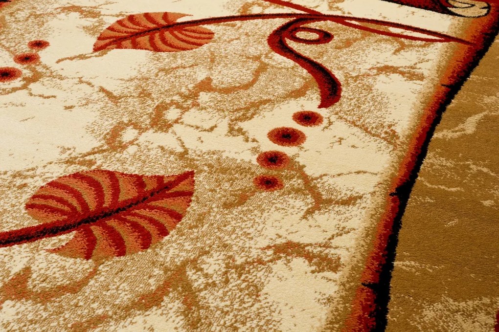 TA Koberec 9106A TERACOTA ANTOGYA Rozmer: 220x320 cm