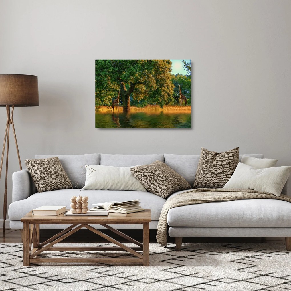 Sklenený obraz žirafy v prírode (70x50 cm)