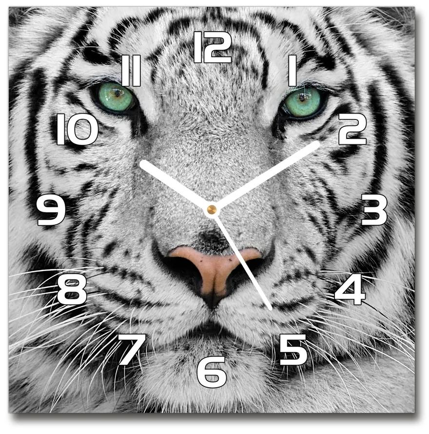 Sklenené hodiny štvorec Biely tiger pl_zsk_30x30_f_13468757