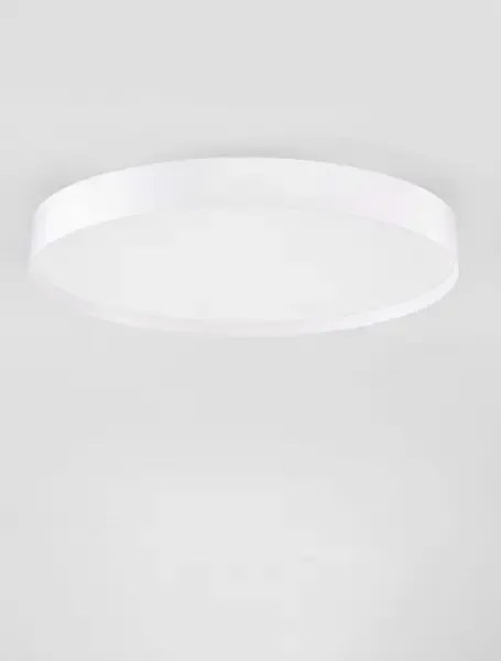 LED stmievateľné biele moderné stropné svietidlo Roi 50