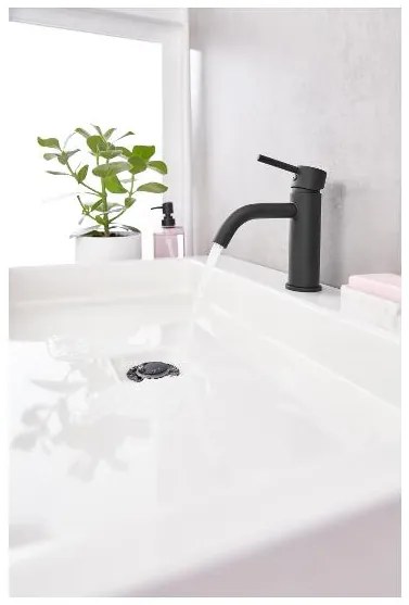 Livarno home Umývadlová batéria (čierna)  (100385364)