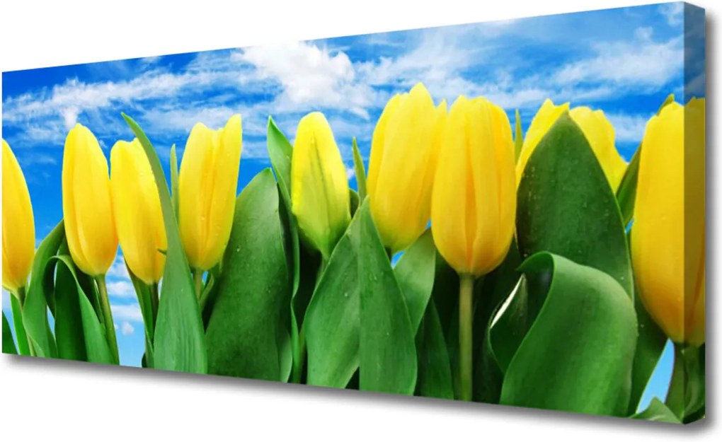 Obraz na plátně Sklenený Tulipány Kvety