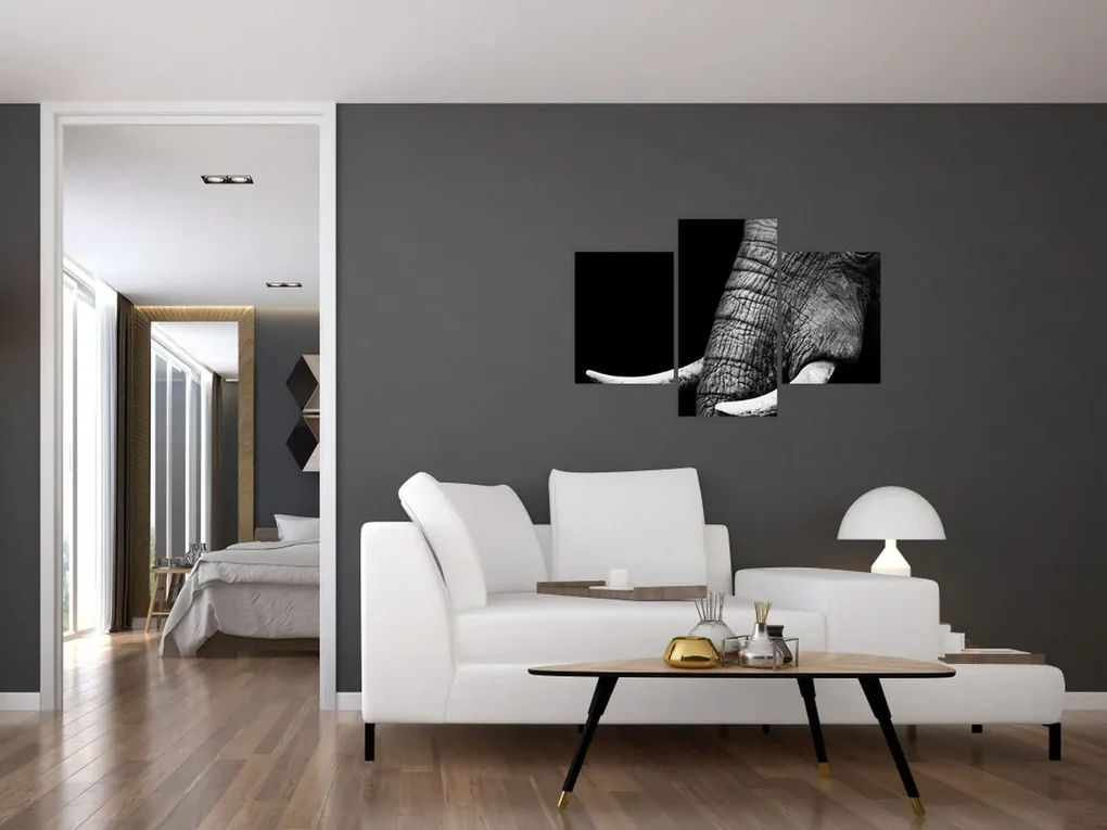 Obraz - Slonie kly (90x60 cm)