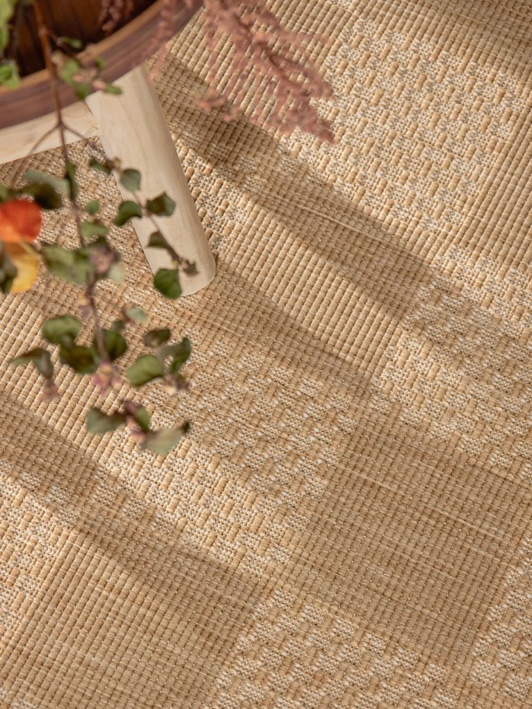 Ted Baker, Kusový koberec Ted Baker Haringey 106386 Natural White, 80x200, béžová, chodba / predsieň