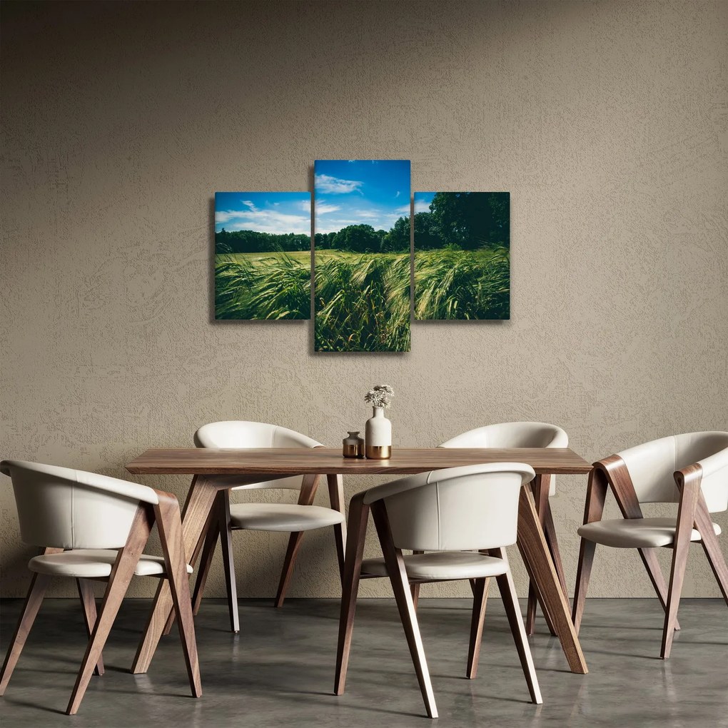 Obraz lúky a lesa (90x60 cm)