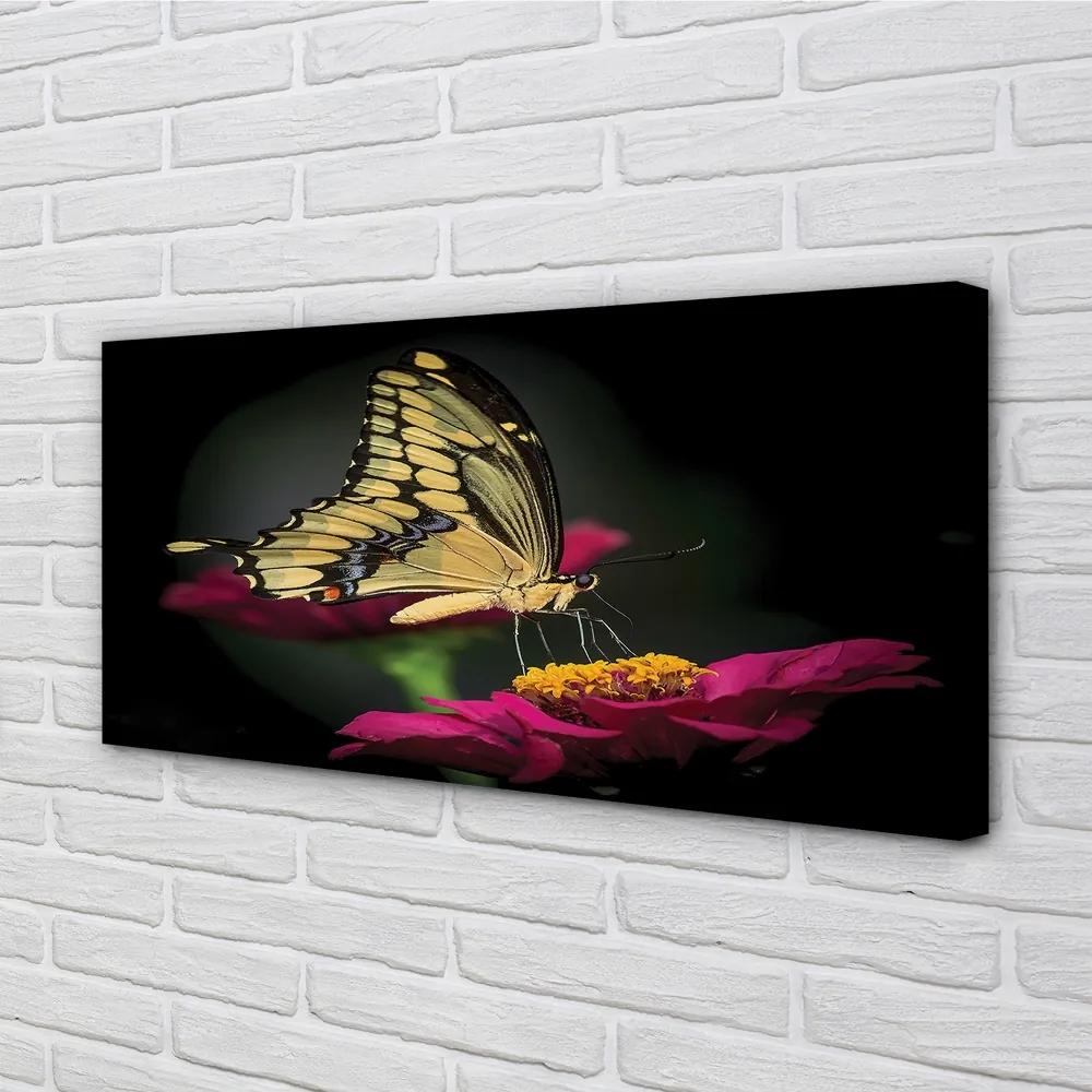 Obraz na plátne Motýľ na kvetine 125x50 cm