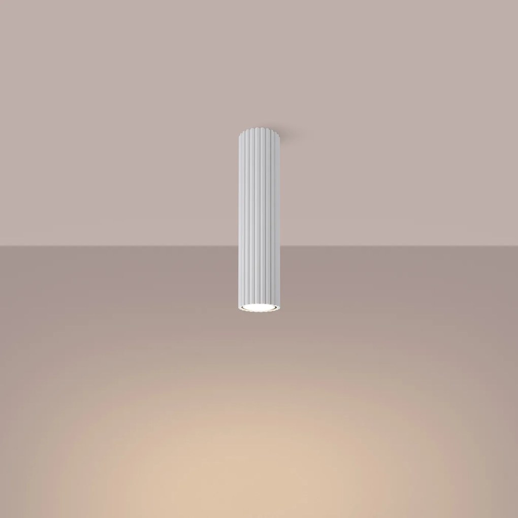 Stropné svietidlo Karbon, 1x biele kovové tienidlo, (30 cm)