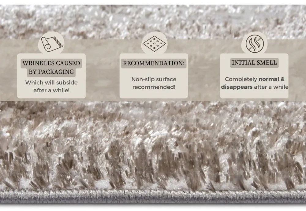 Koberec v béžovo-striebornej farbe 120x170 cm Shine Classic – Hanse Home