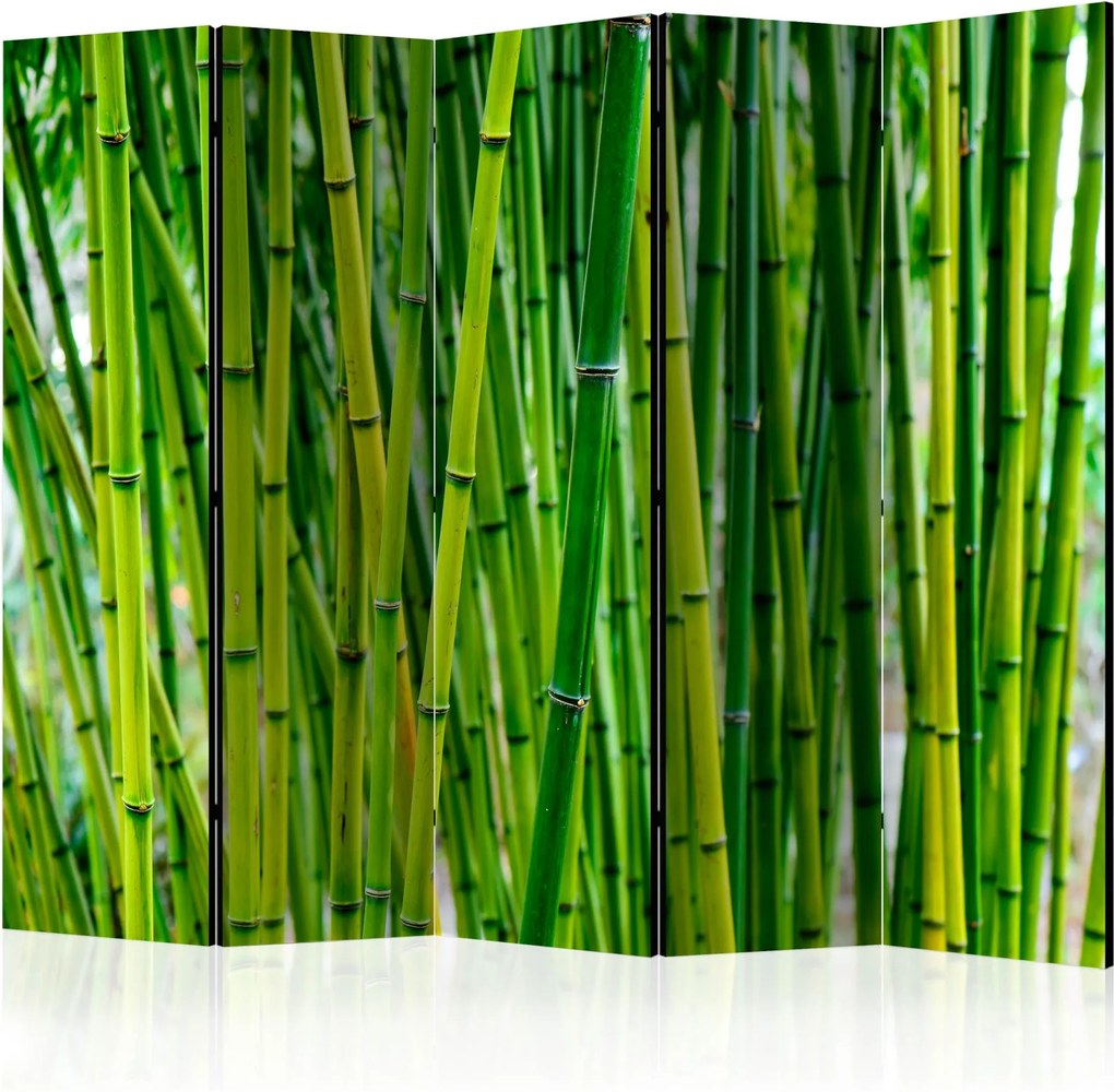 Paraván - Bamboo Forest II [Room Dividers] 225x172