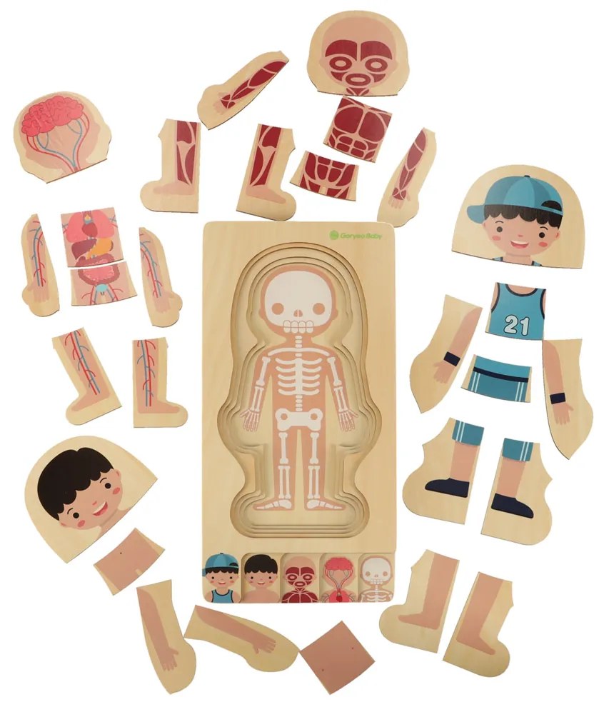 KIK Drevené Montessori vrstvené anatomické puzzle Ľudské telo 28 dielikov – vzdelávacie