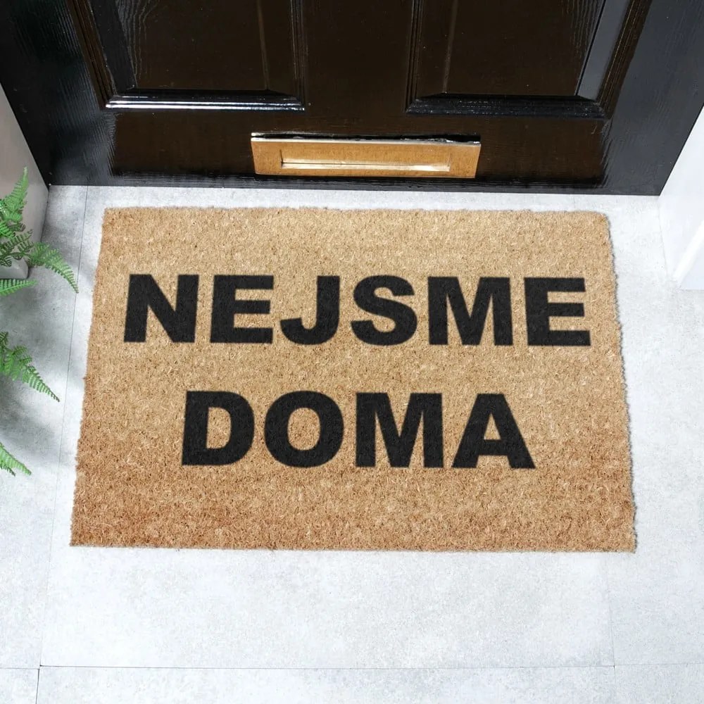 Rohožka z kokosového vlákna 40x60 cm Nejsme Doma – Artsy Doormats