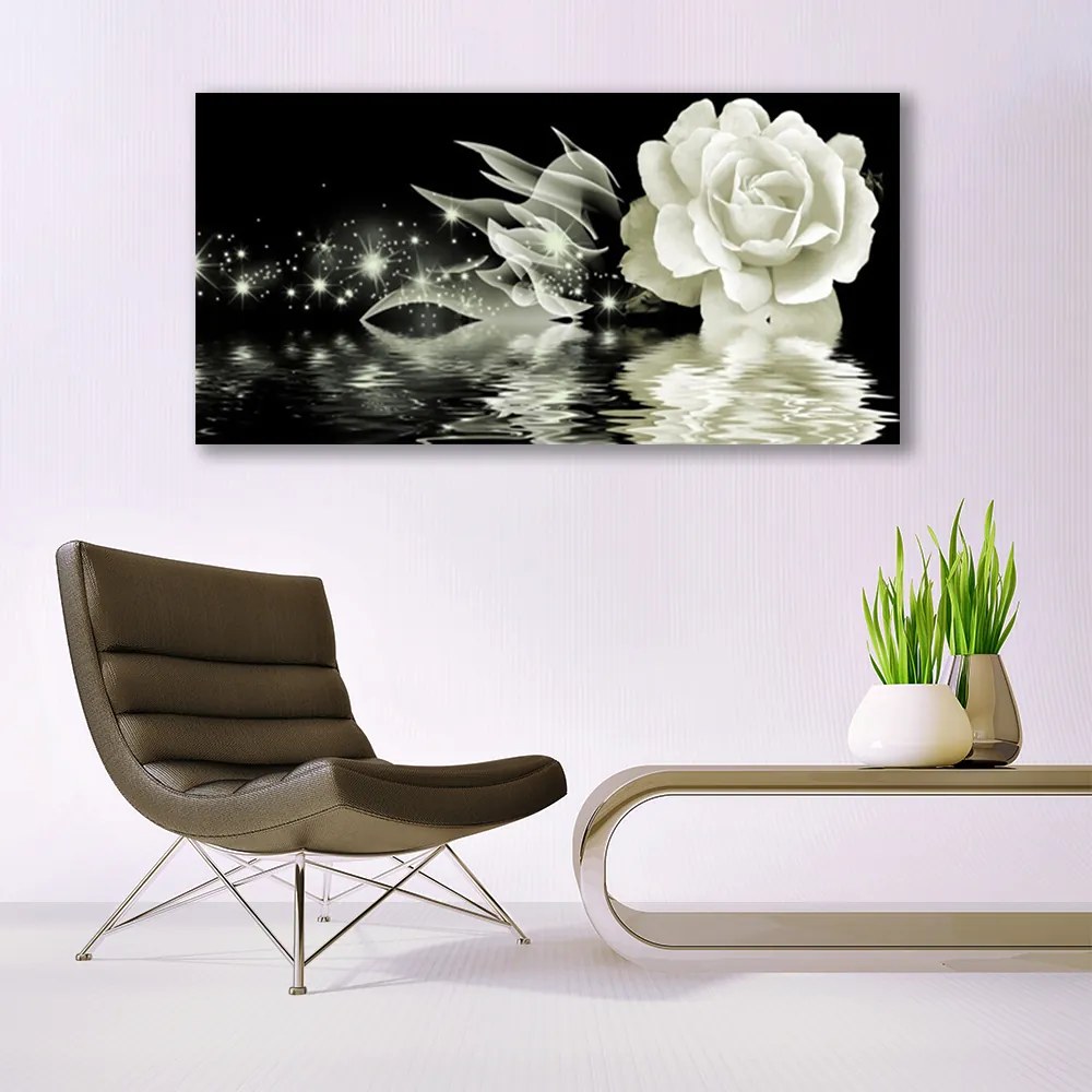 Obraz na akrylátovom skle Ruže kvet 120x60 cm