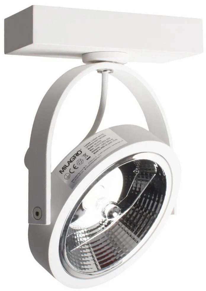 Nástenné bodové svietidlo LUGAR 1xAR111 - GU10/25W/230V