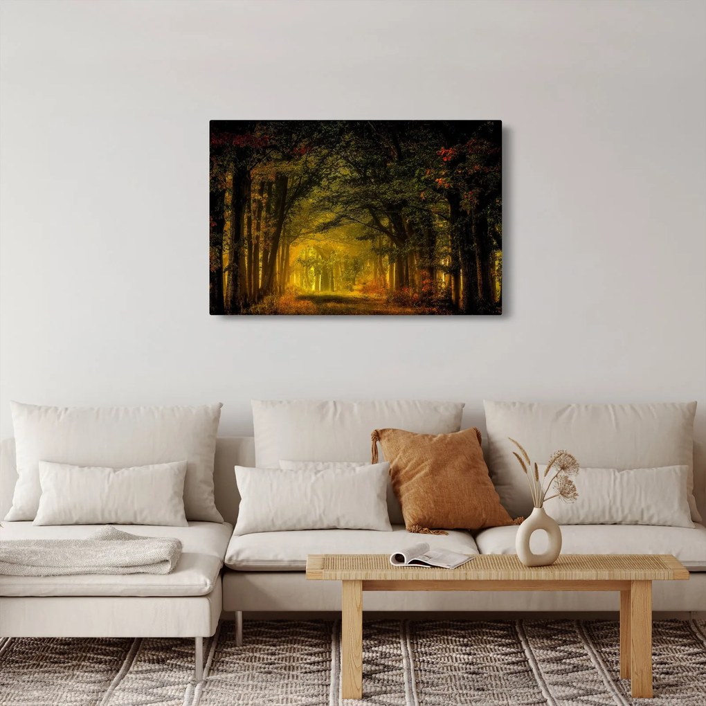 Obraz lesu (90x60 cm)