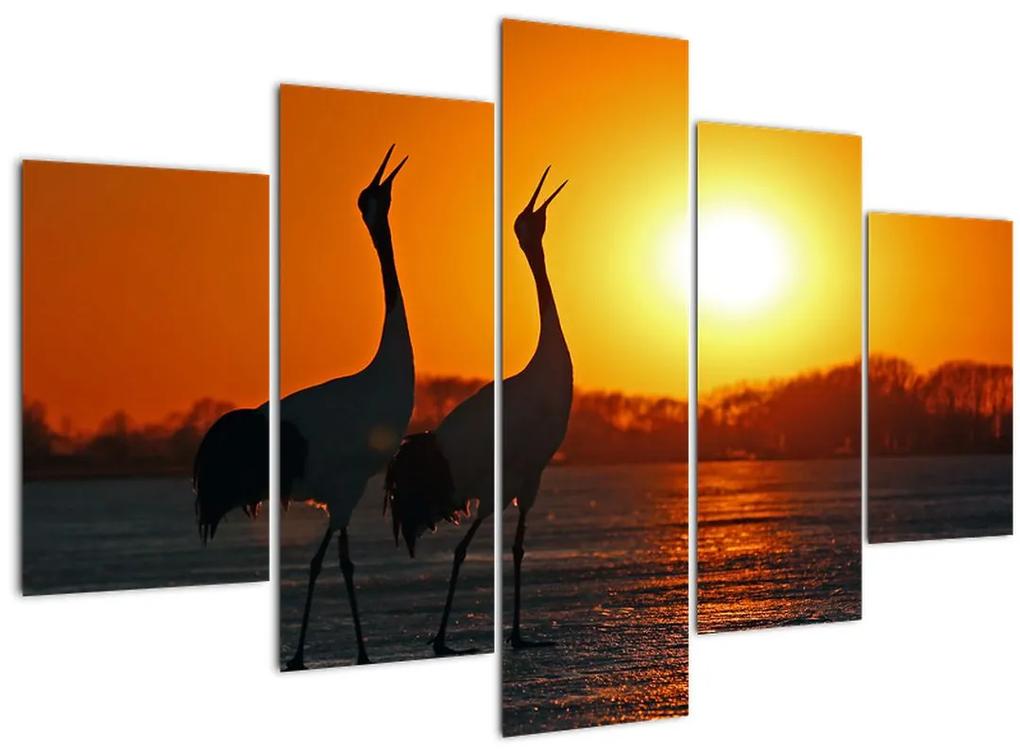Obraz vtákov pri západe slnka (150x105 cm)