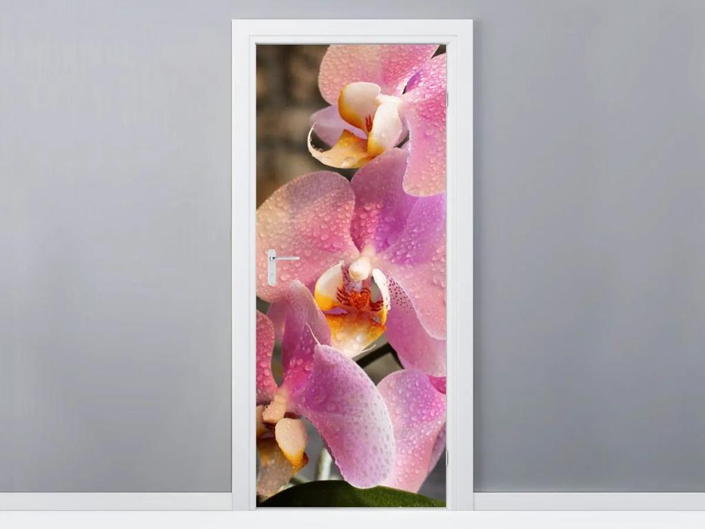 Gario Samolepiaca fólia na dvere Krásna ružová orchidea 95x205cm Veľkosť: 95 x 205 cm