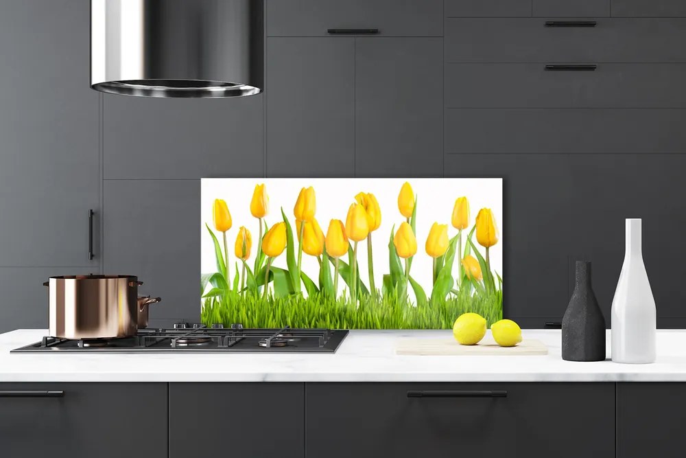 Nástenný panel  Tulipány 100x50 cm