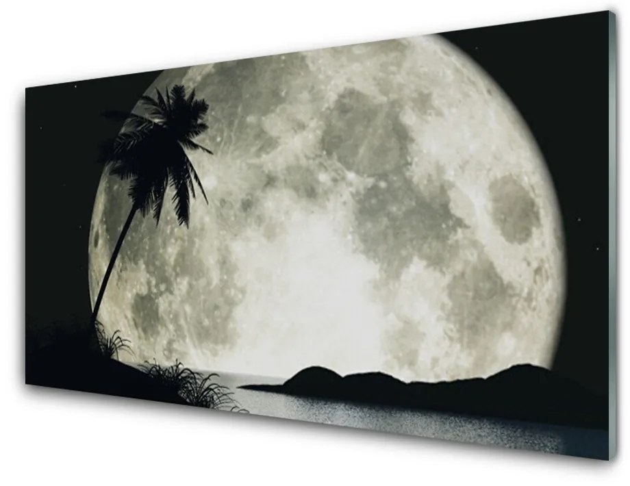 Obraz na skle Noc mesiac palma krajina 100x50 cm
