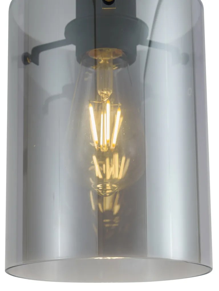 Moderný reflektor čierny s dymovým sklom pre 1-fázový koľajnicový systém - Iconic Dome