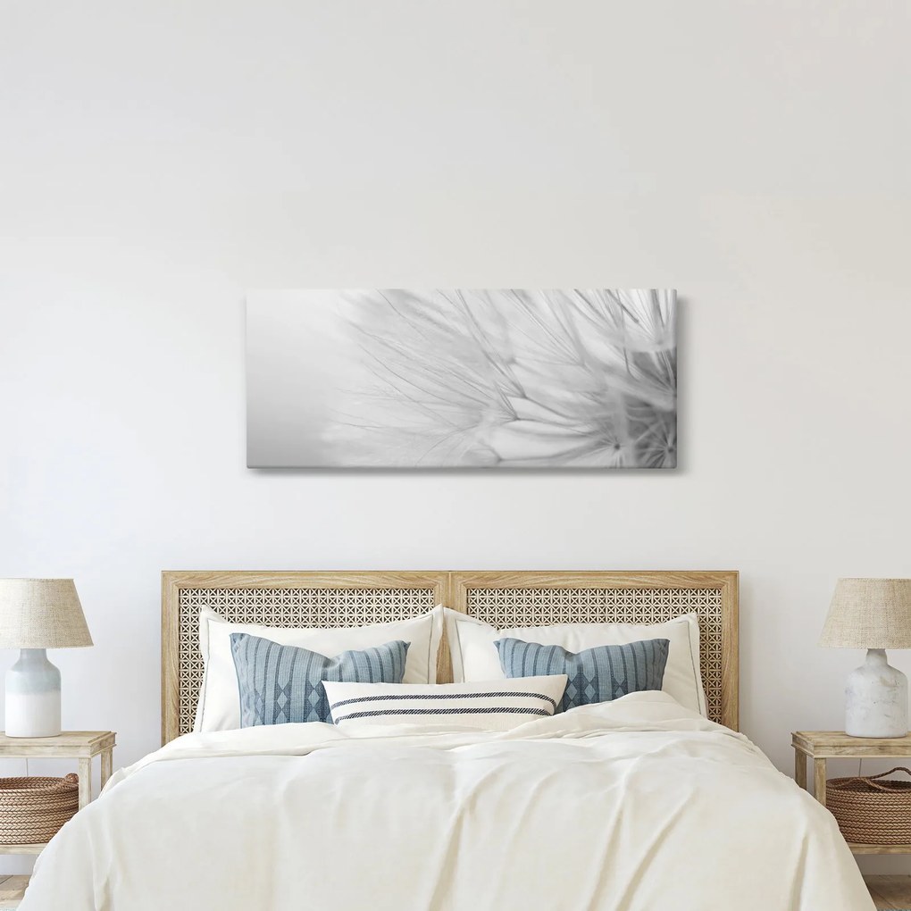 Obraz - Púpava (120x50 cm)