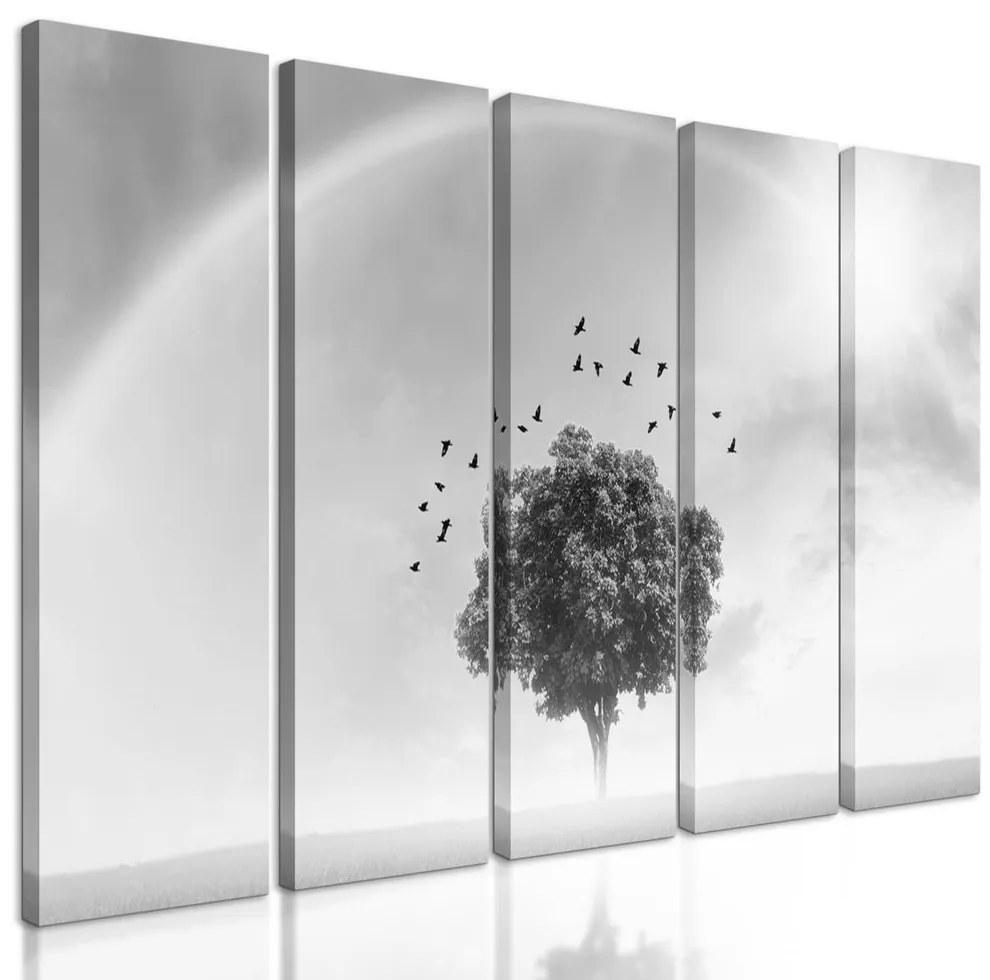 5-dielny obraz strom pod dúhou v čiernobielom prevedení