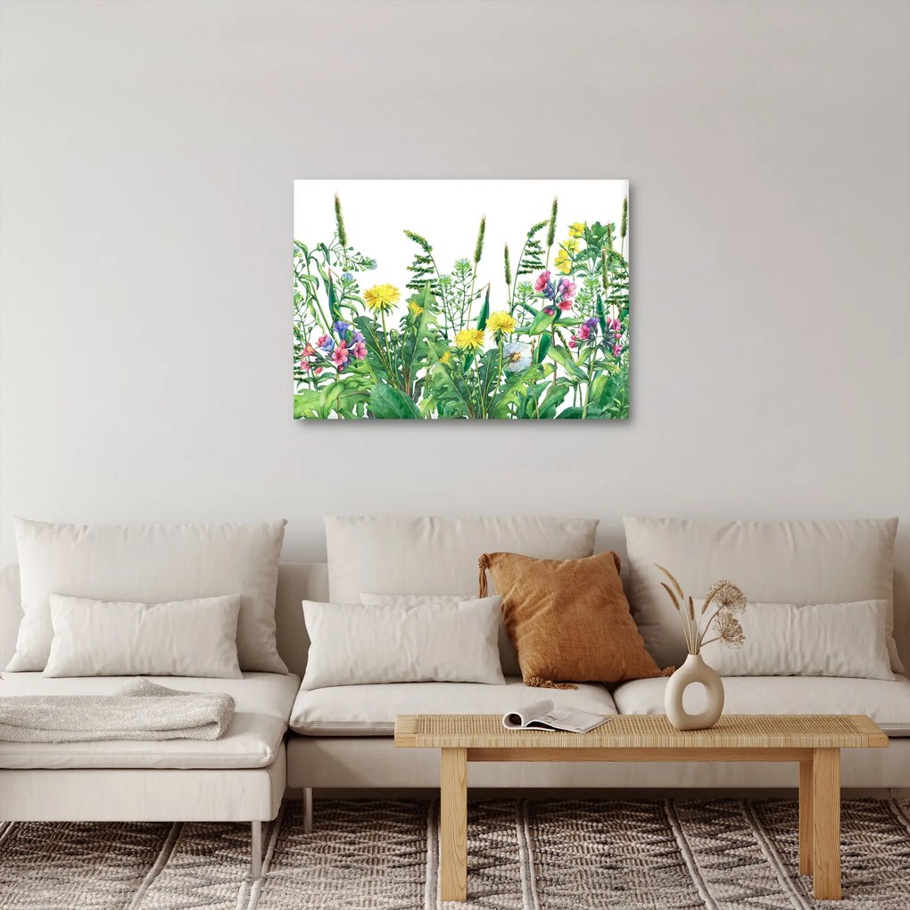 Obraz - Maľované lúčne kvety (70x50 cm)
